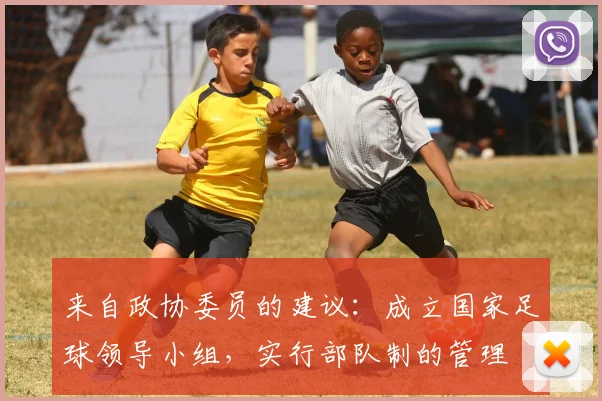 来自政协委员的建议：成立国家足球领导小组，实行部队制的管理