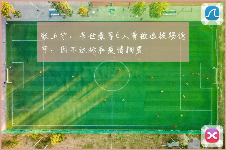 张玉宁、韦世豪等6人曾被选拔踢德甲，因不达标和疫情搁置