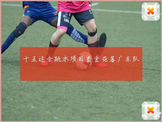 十五运会跳水项目首金花落广东队